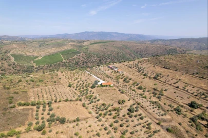 Terreno para Venda em Vila Nova de Foz Côa