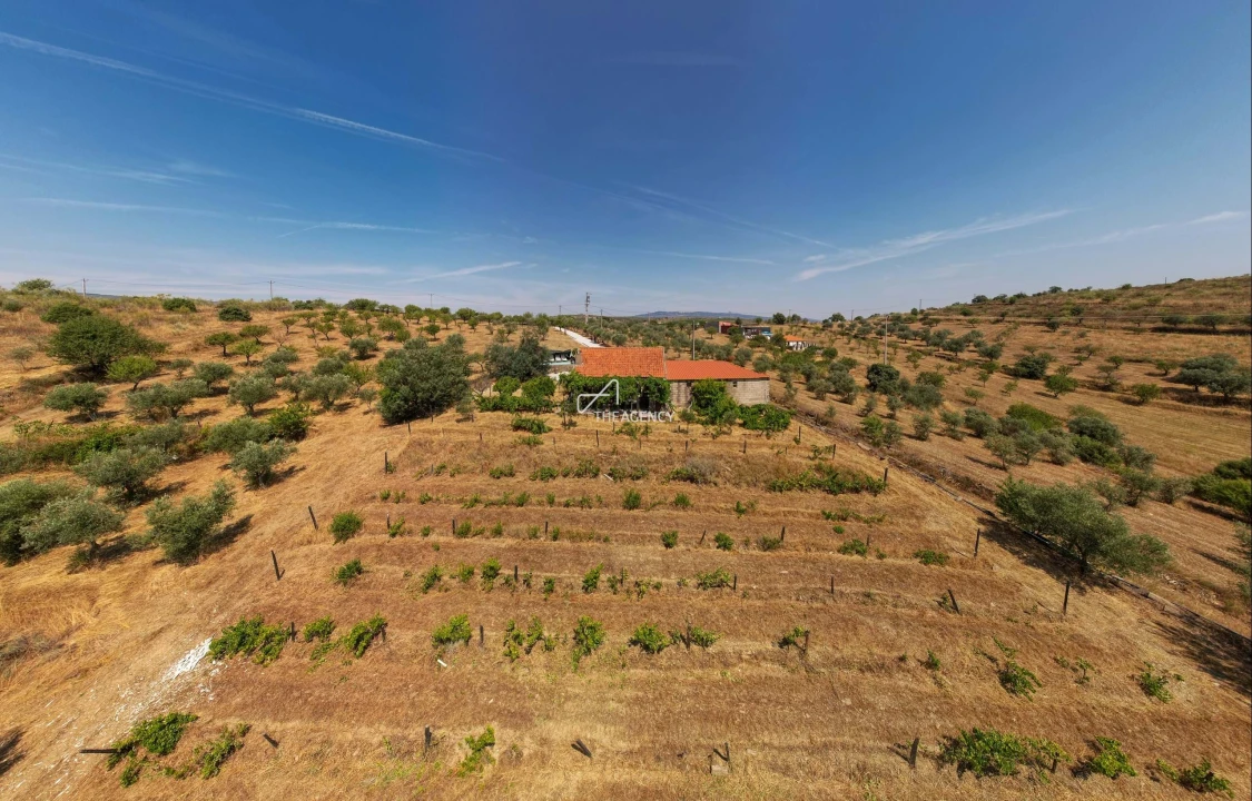 Terreno para Venda em Vila Nova de Foz Côa Foto 22