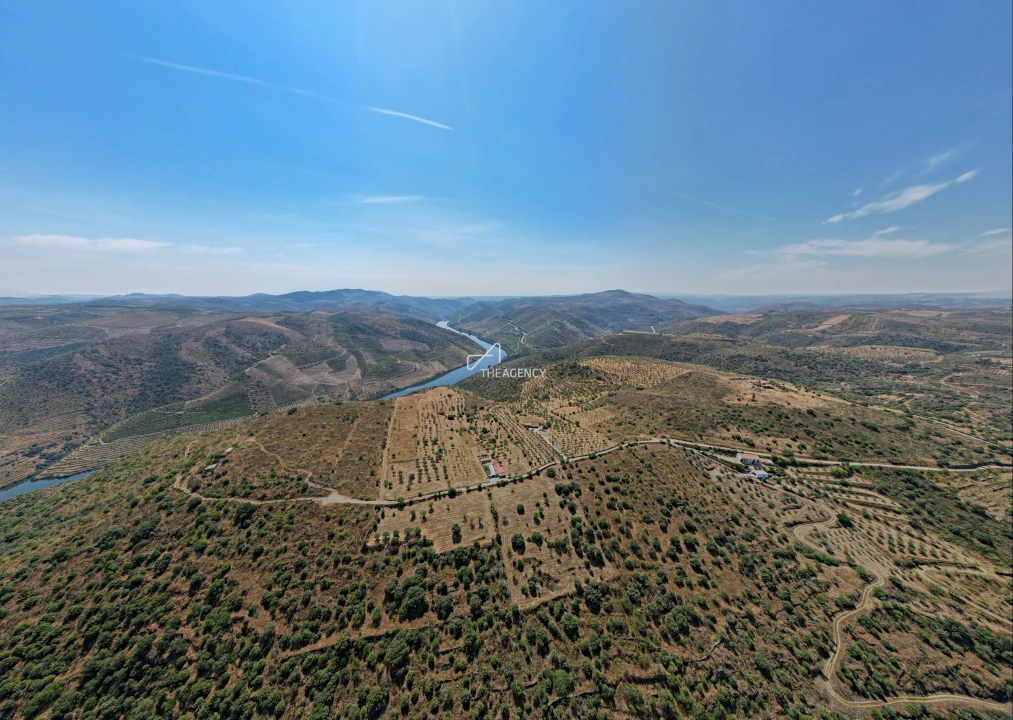 Terreno para Venda em Vila Nova de Foz Côa Foto 26