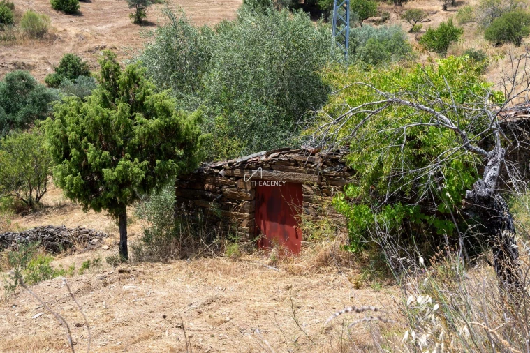 Terreno para Venda em Vila Nova de Foz Côa Foto 62