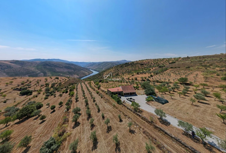 Terreno para Venda em Vila Nova de Foz Côa Foto 23