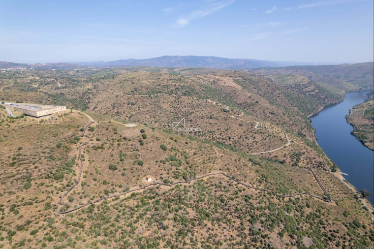 Terreno para Venda em Vila Nova de Foz Côa Foto 7