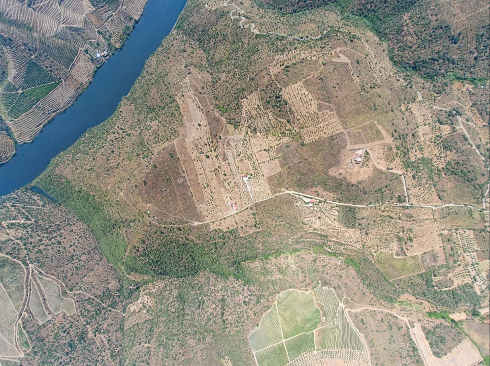 Terreno para Venda em Vila Nova de Foz Côa Foto 14