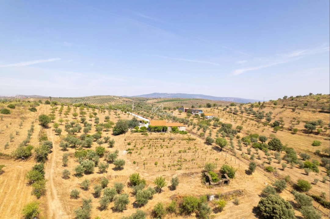 Terreno para Venda em Vila Nova de Foz Côa Foto 19