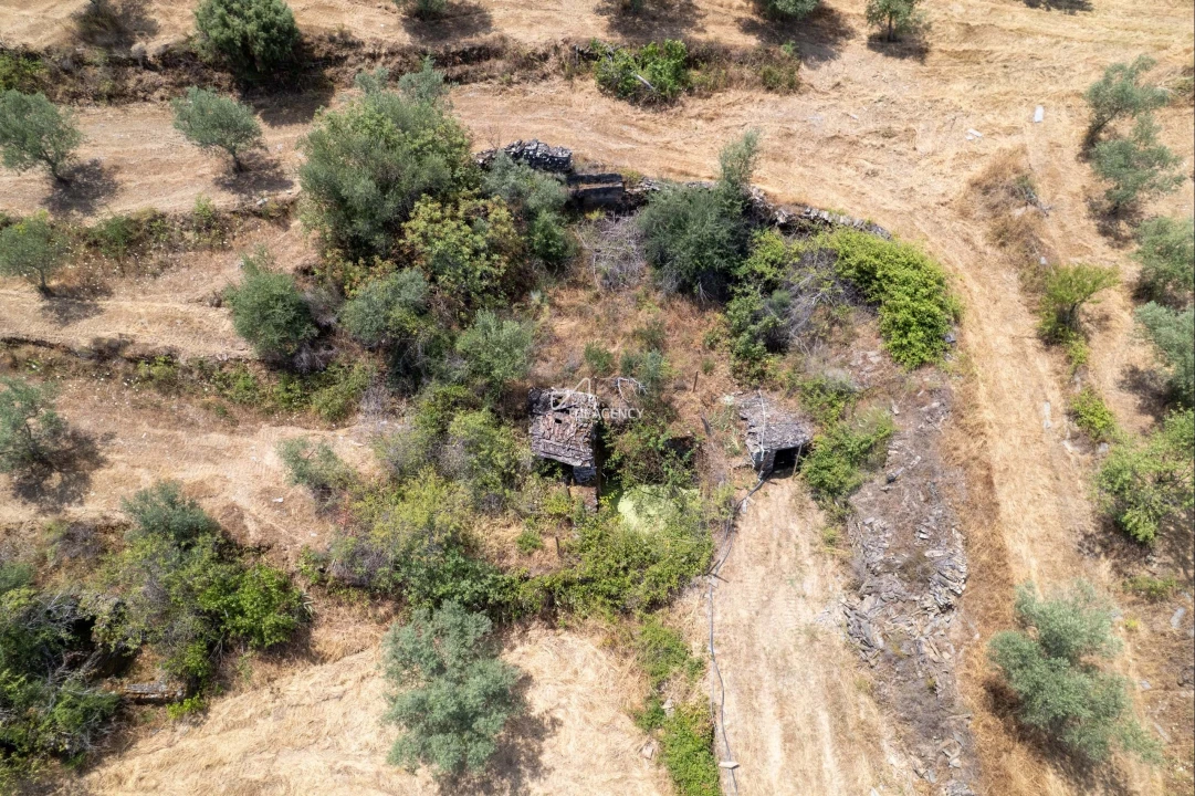Terreno para Venda em Vila Nova de Foz Côa Foto 57