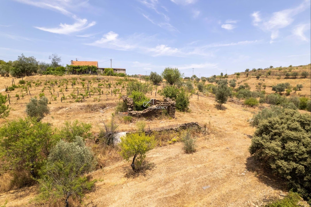 Terreno para Venda em Vila Nova de Foz Côa Foto 53