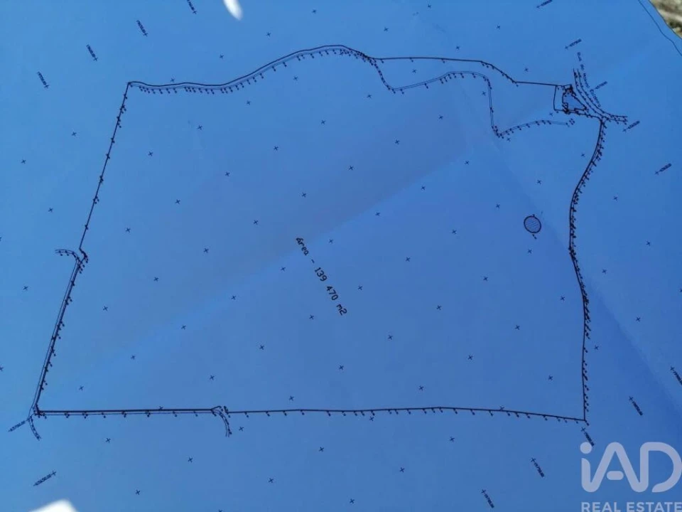 Terreno para Venda em Monte Real e Carvide Foto 1