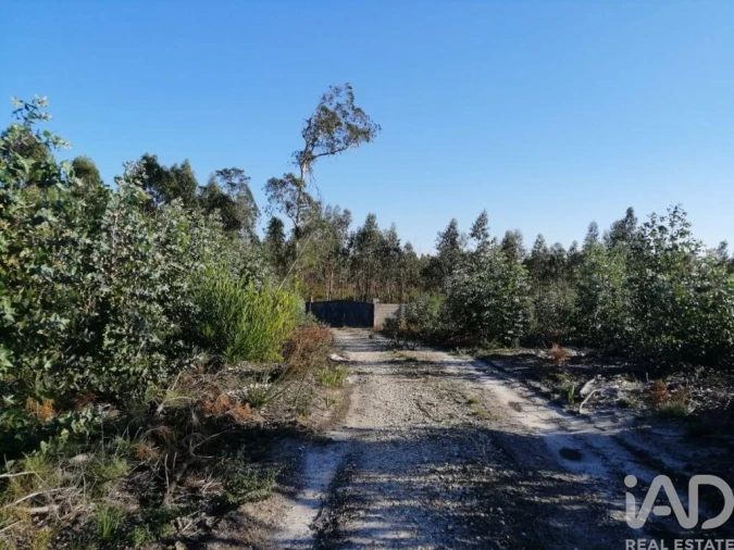 Terreno para Venda em Monte Real e Carvide Foto 5