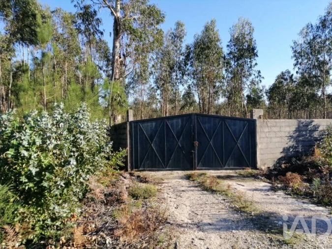Terreno para Venda em Monte Real e Carvide Foto 3