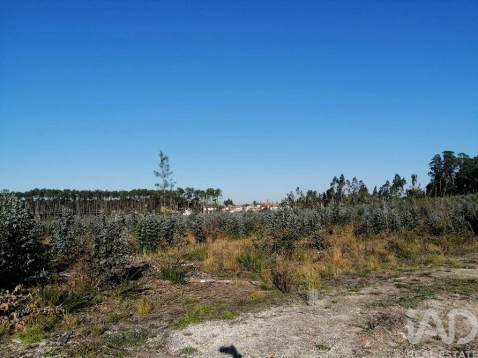 Terreno para Venda em Monte Real e Carvide Foto 8