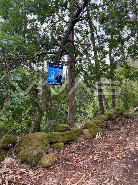 Terreno Agricola ou Rústico para Venda em Vilela, Seramil e Paredes Secas