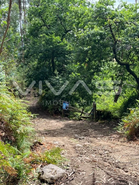 Terreno Agricola ou Rústico para Venda em Vilela, Seramil e Paredes Secas