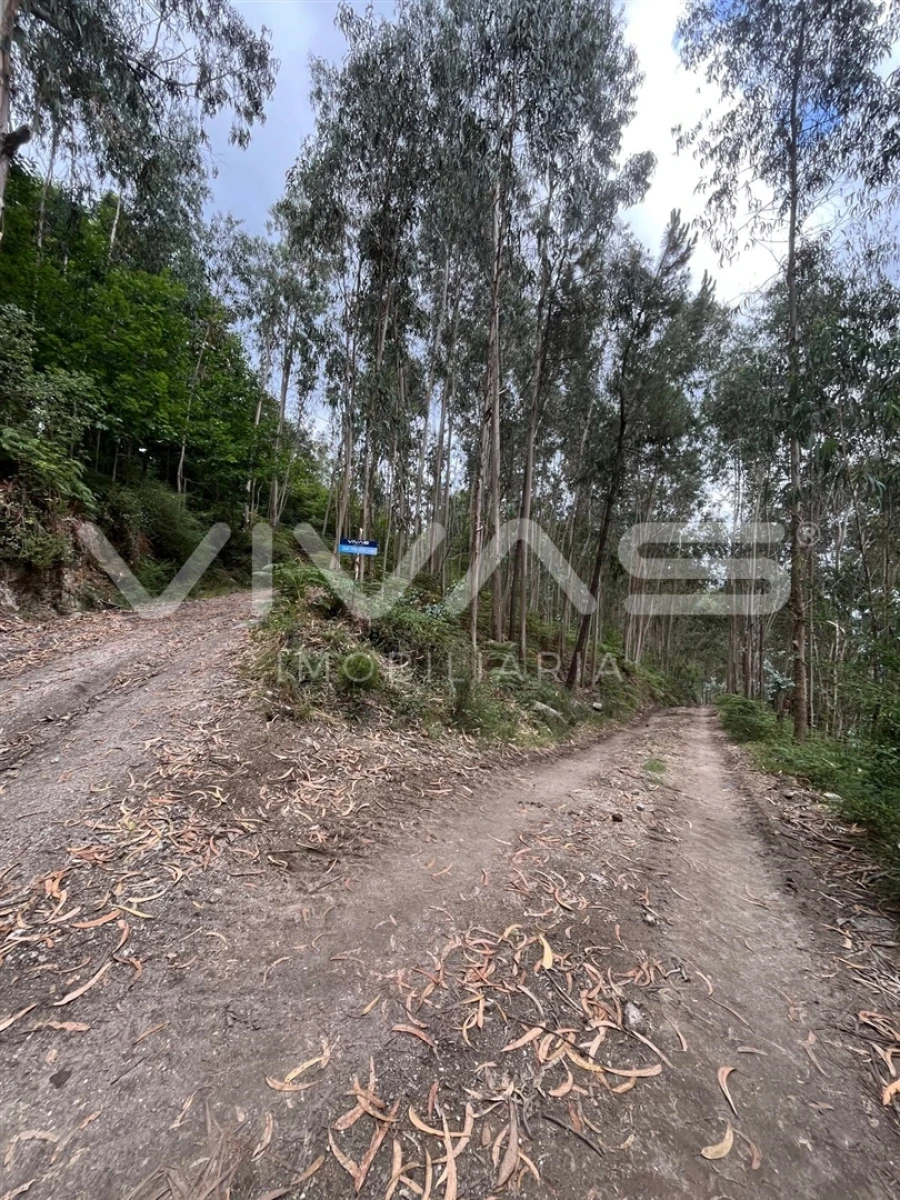 Terreno Agricola ou Rústico para Venda em Vilela, Seramil e Paredes Secas Foto 2