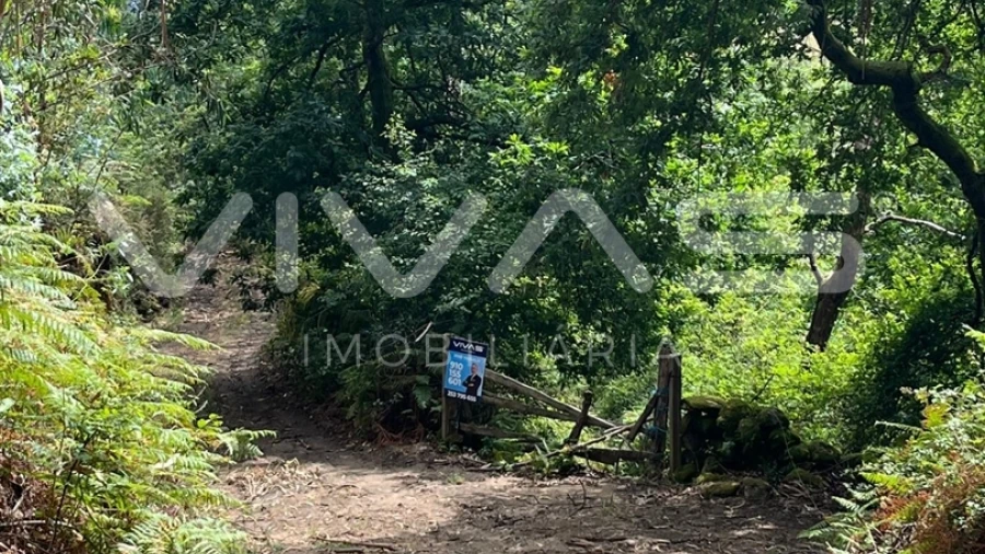 Terreno Agricola ou Rústico para Venda em Vilela, Seramil e Paredes Secas