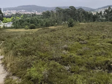 Terreno Misto para Venda em Alfena