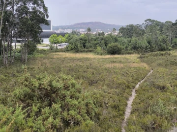 Terreno Misto para Venda em Alfena