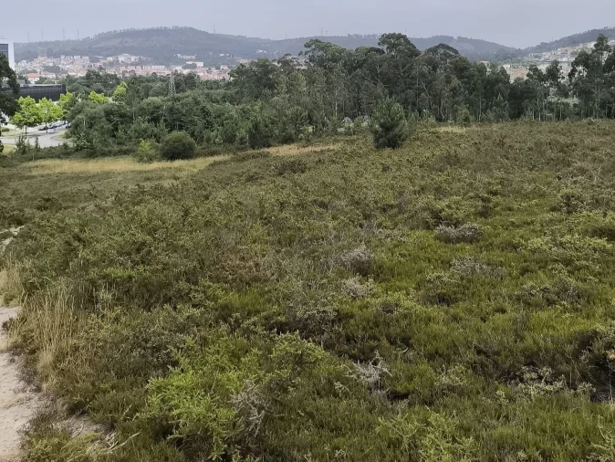 Terreno Misto para Venda em Alfena Foto 3