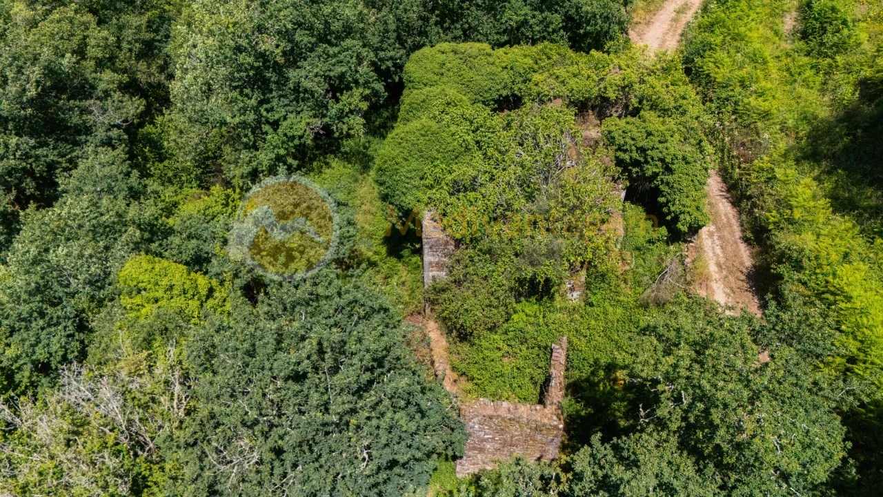 Terreno para Venda em Areias Foto 1