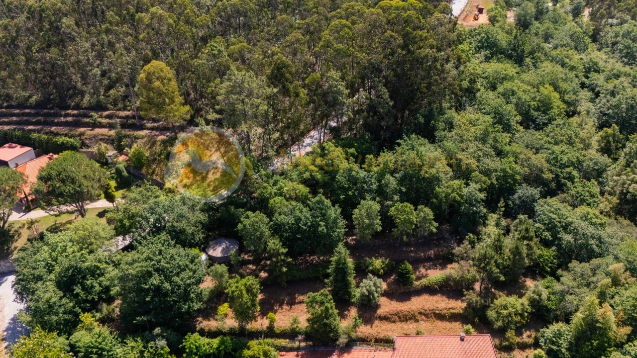 Terreno para Venda em Areias Foto 4