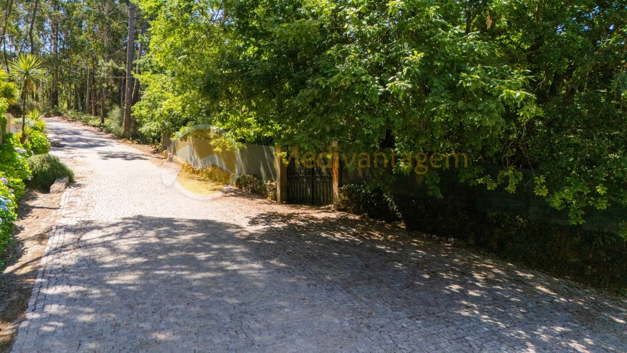 Terreno para Venda em Areias Foto 5