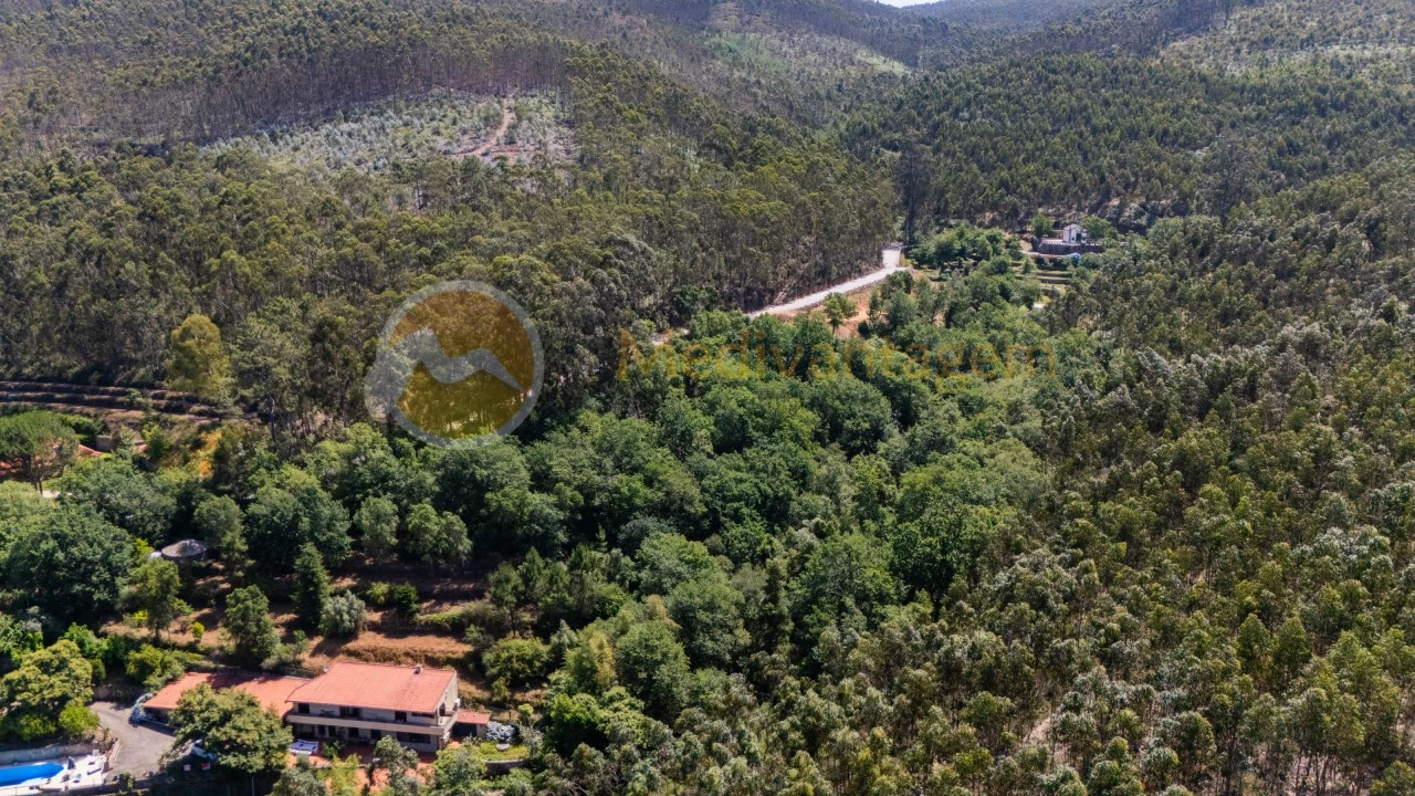 Terreno para Venda em Areias Foto 12