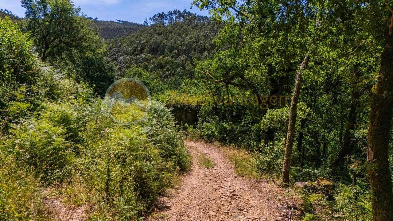 Terreno para Venda em Areias Foto 15