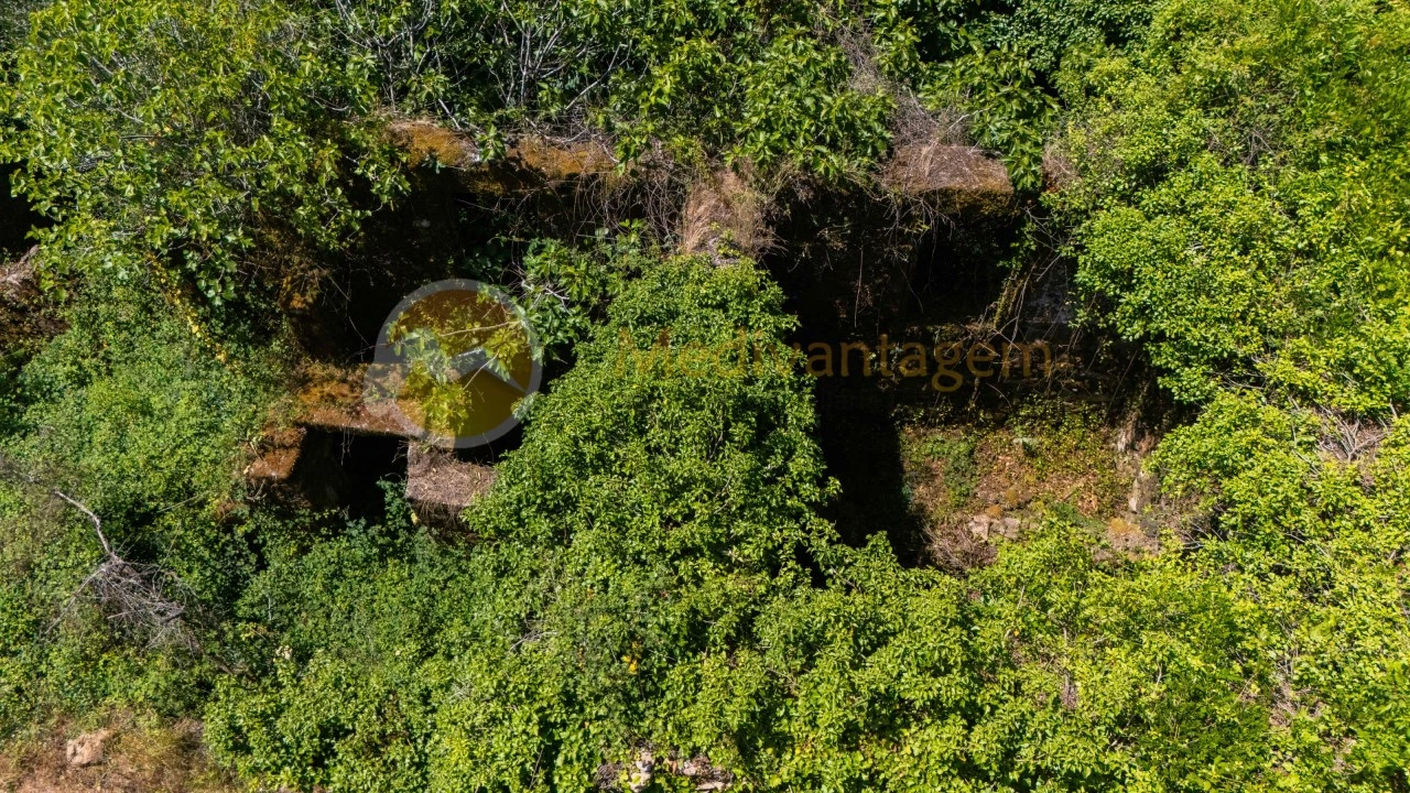 Terreno para Venda em Areias Foto 16