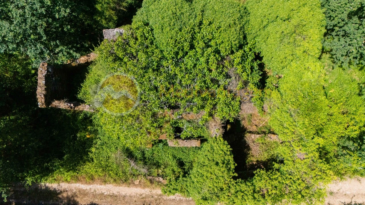 Terreno para Venda em Areias Foto 17