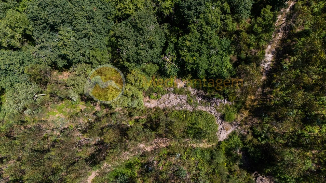 Terreno para Venda em Areias Foto 21