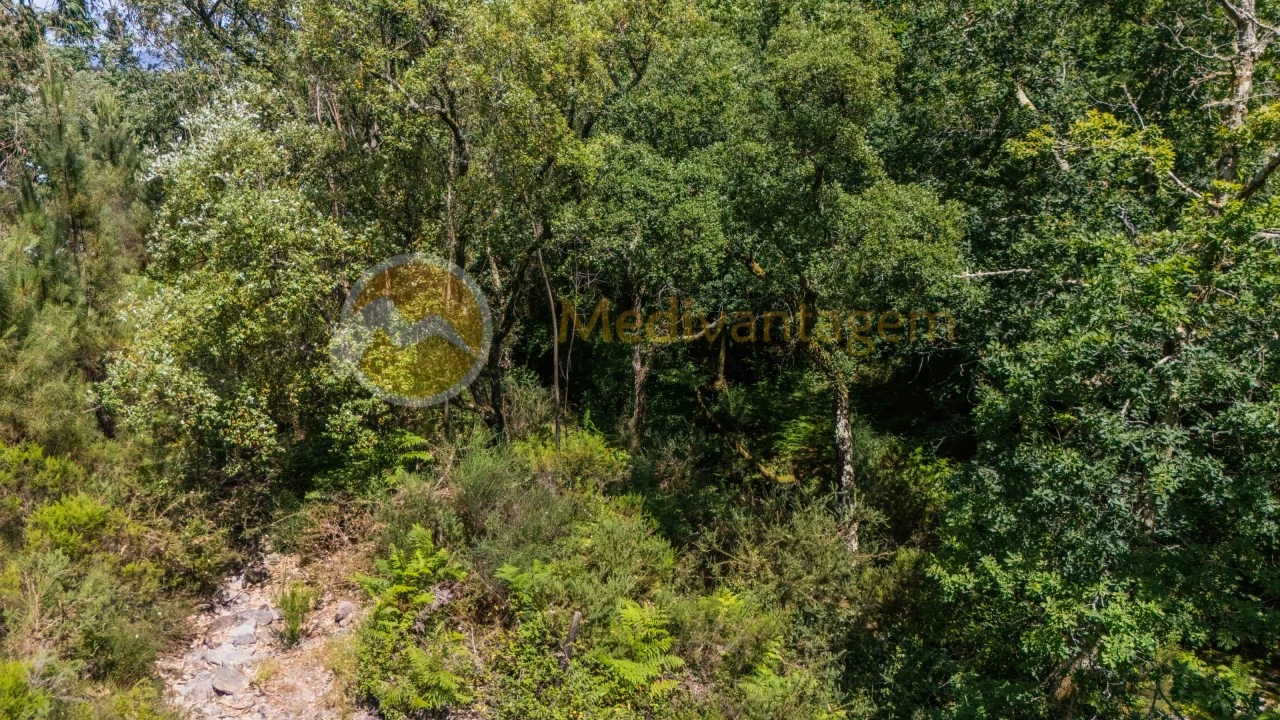 Terreno para Venda em Areias Foto 23