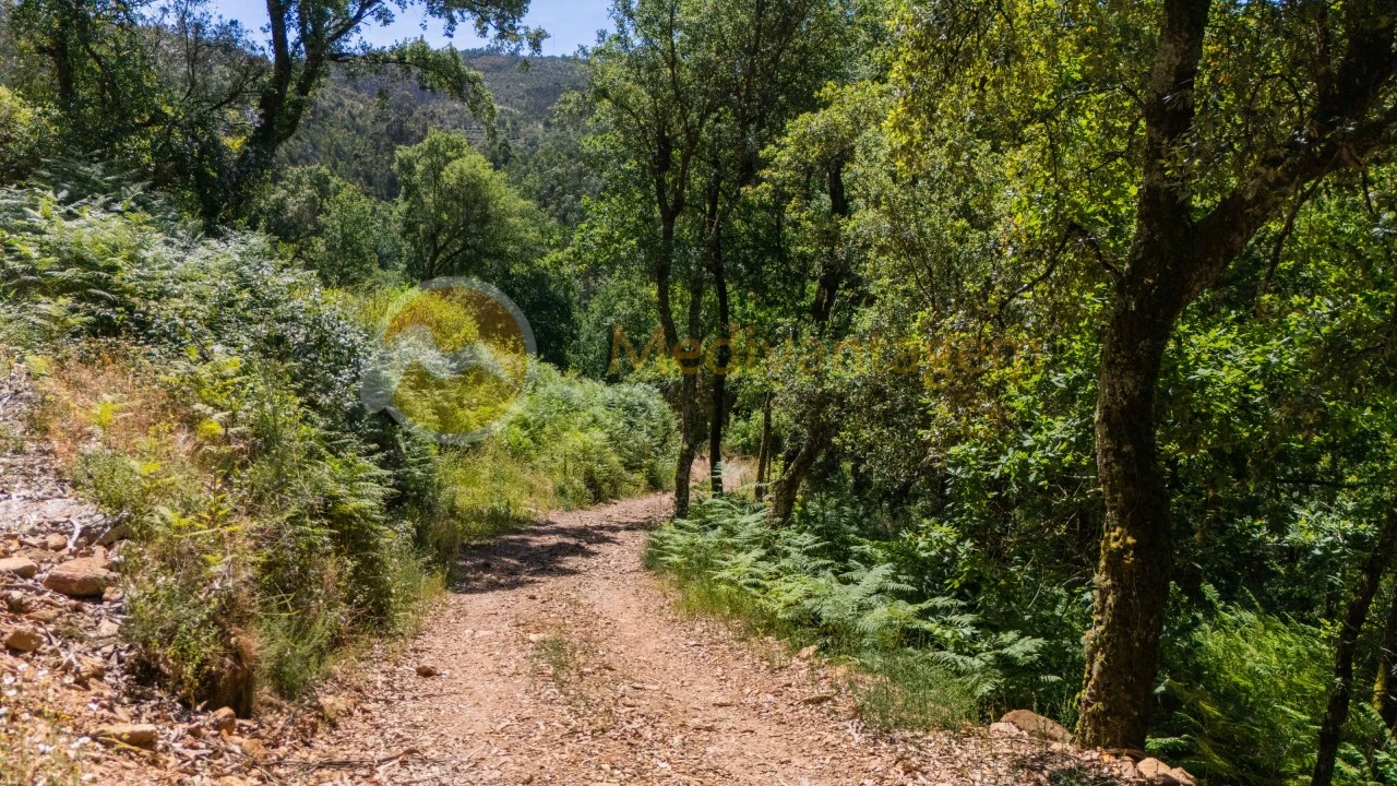 Terreno para Venda em Areias Foto 29