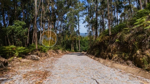 Terreno para Venda em Areias
