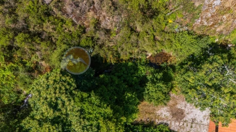 Terreno para Venda em Areias