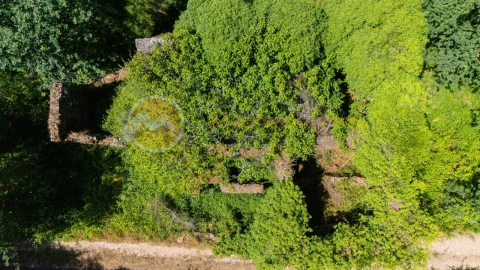 Terreno para Venda em Areias