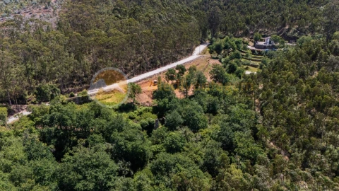 Terreno para Venda em Areias