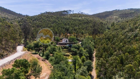 Terreno para Venda em Areias