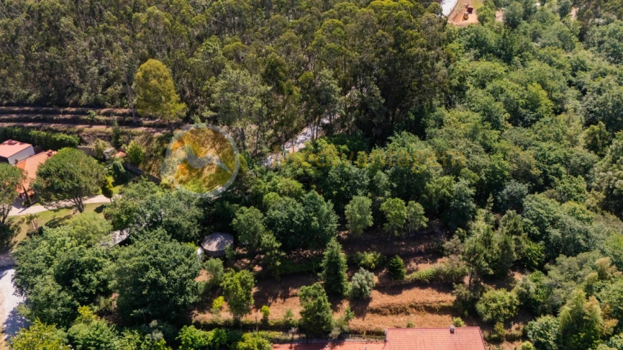 Terreno para Venda em Areias Foto 4