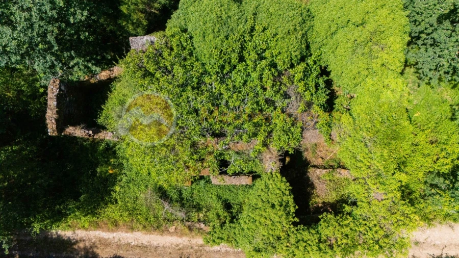Terreno para Venda em Areias Foto 17