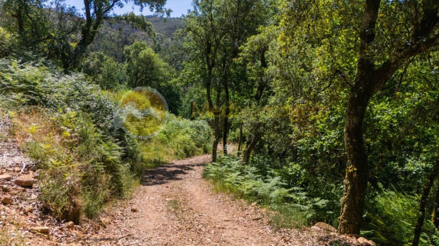 Terreno para Venda em Areias Foto 29