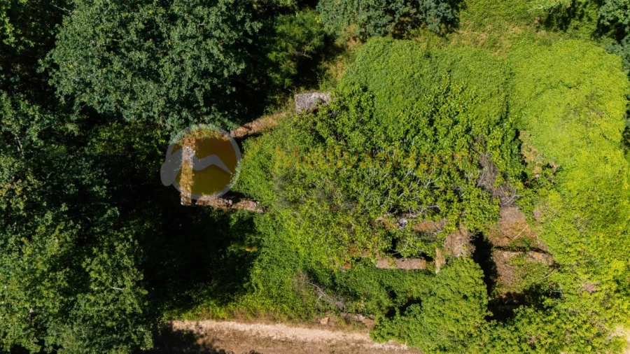 Terreno para Venda em Fragoso