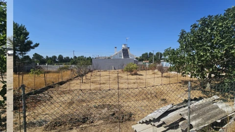 Terreno para Venda em Quinta do Anjo