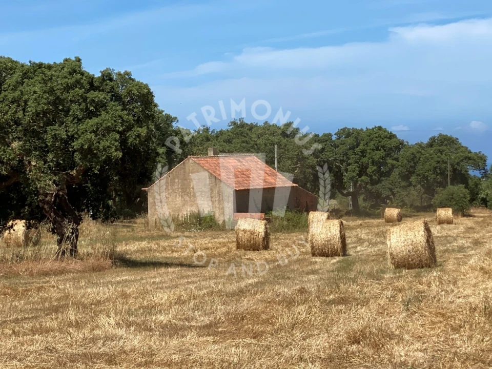 Quinta para Venda em Porto Covo Foto 9