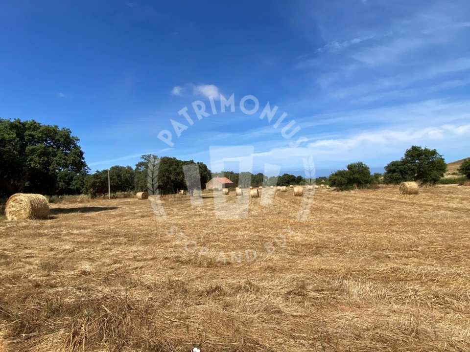 Quinta para Venda em Porto Covo Foto 10