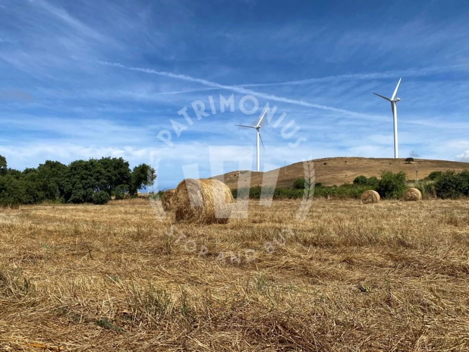 Quinta para Venda em Porto Covo Foto 21