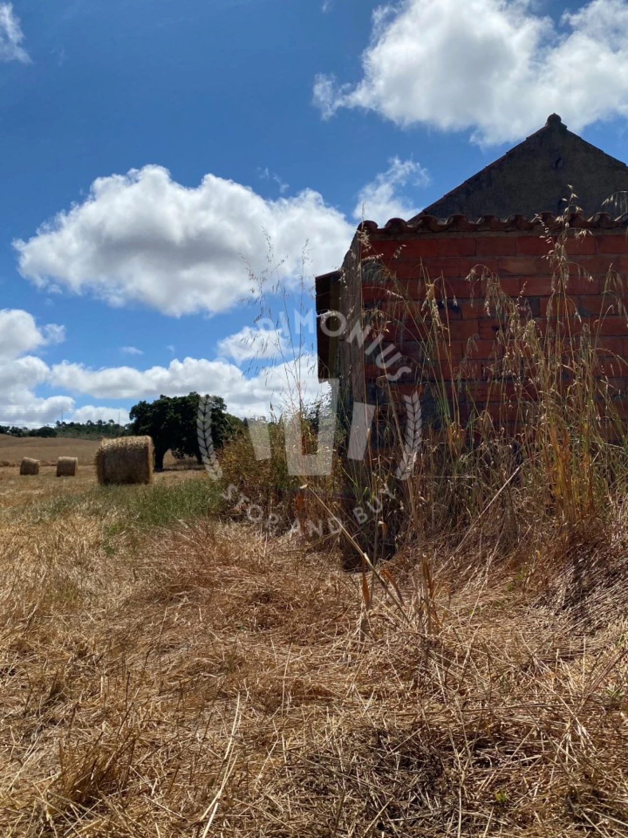 Quinta para Venda em Porto Covo Foto 24