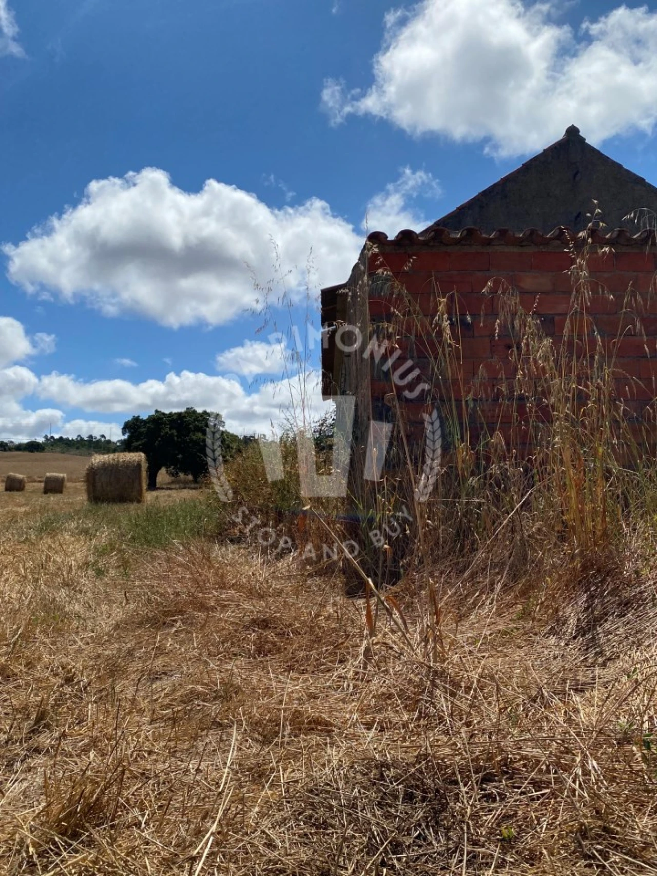 Quinta para Venda em Porto Covo Foto 26