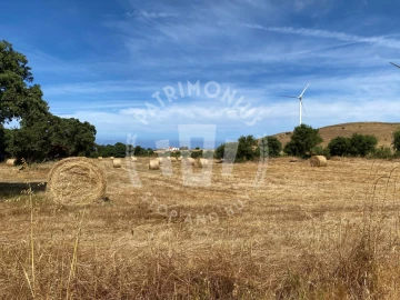Quinta para Venda em Porto Covo