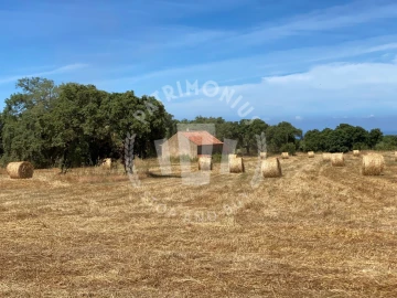 Quinta para Venda em Porto Covo