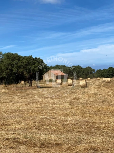 Quinta para Venda em Porto Covo