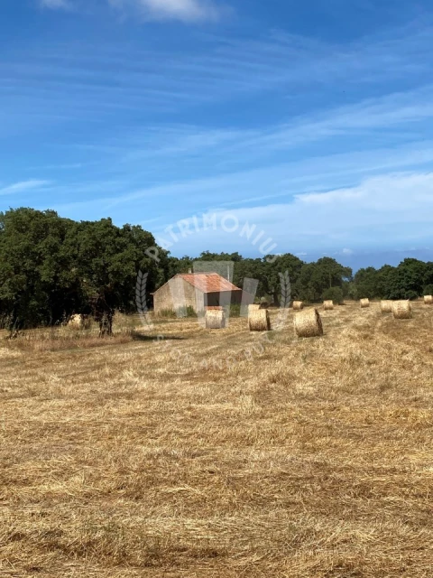 Quinta para Venda em Porto Covo